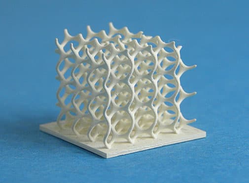 MSI 3D Printed Image